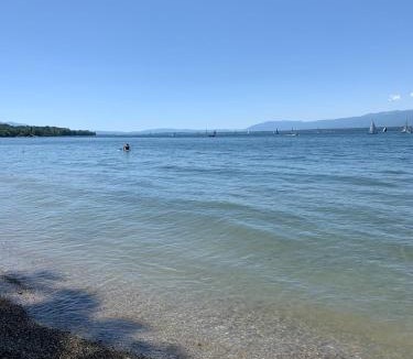 Messery Apartment | View Geneva Lake, private residence, swimming pool