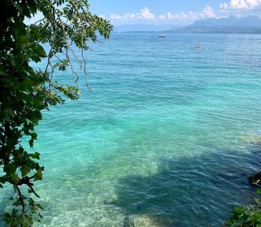 Messery Apartment | View Geneva Lake, private residence, swimming pool