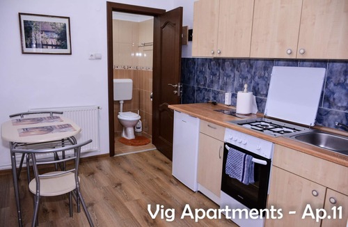 Timisoara Apartment | Vig Apartments Timisoara