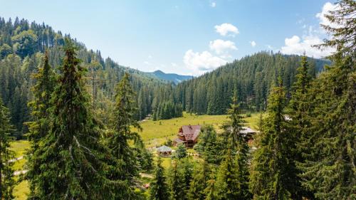 Toplita House | ViiLa Munte Călimani