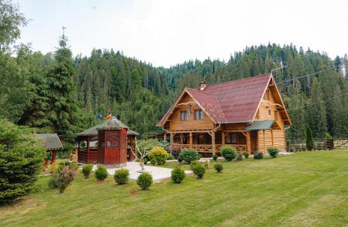 Toplita House | ViiLa Munte Călimani