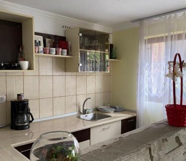 Beclean House | Viki house