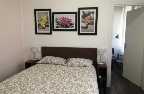 Province of Bologna House | Vikos lodge