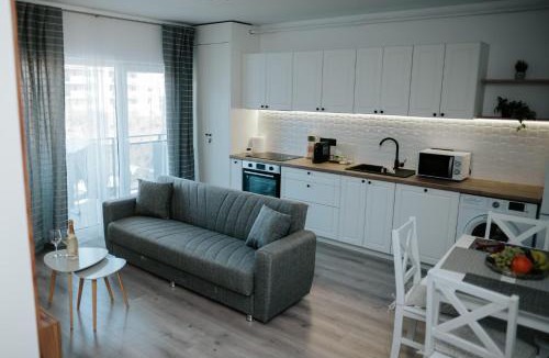 Floresti Apartment | Viktor's place