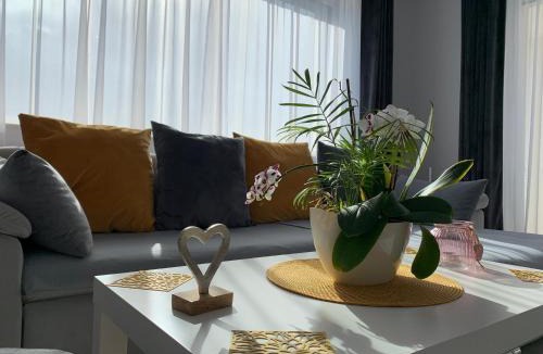 Dealu House | Viktoria House