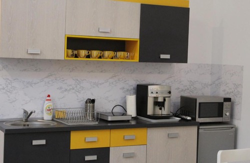 Satu Mare Apartment | Viky Apartment