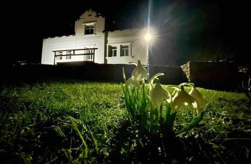 Nejdek Villa | Vila 100klasa