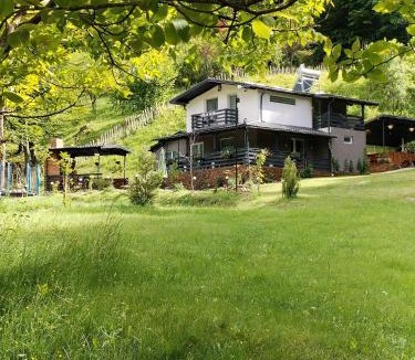 Calugareni Villa | VILA Ade