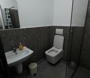 Tasnad House | Vila Adelin