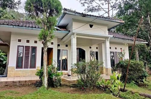 Java House | Vila ala desa