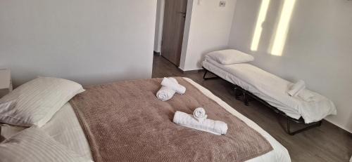 Curtea De Arges House | Vila Armonia