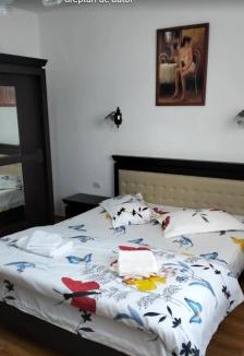 Craiova House | Vila Aurora