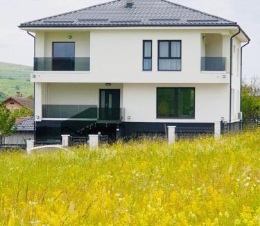 Chinteni Villa | Vila Bio Green