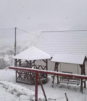 Ciocanesti House | Vila Bucovina