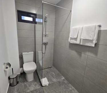 Alba Iulia Hotel | Vila Carol
