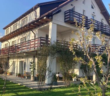 Breaza de Jos Bed & Breakfast | Vila Carpatina
