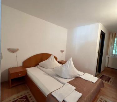 Bran Villa | Vila Cretu Bran
