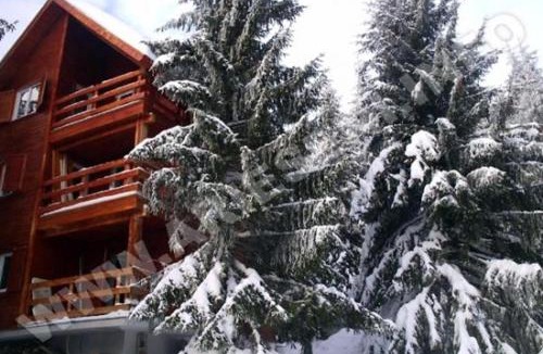 Vartop House | VILA DARIA