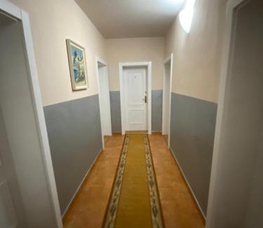 Baile Unu Mai House | Vila David