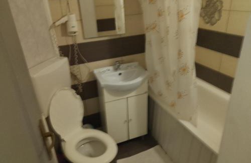 Tirgu Jiu Apartment | VILA DAVISON
