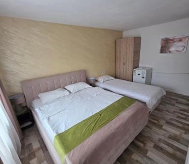 Tirgu Jiu Apartment | VILA DAVISON