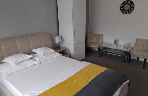 Tirgu Jiu Apartment | VILA DAVISON