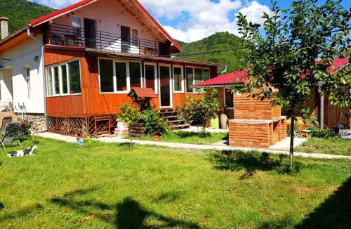 Mehadia House | Vila di Pau