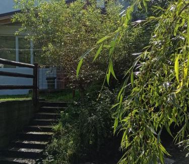 Bran Villa | Vila Doina Branului