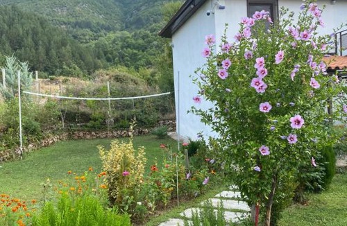 Dajt House | Vila elektra