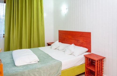 Sfantu Gheorghe House | Vila Far