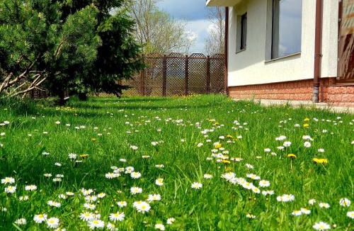 Gura Humorului Villa | Vila Flora în Gura Humorului