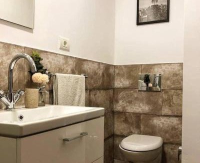 Alba Iulia House | Vila Francisca10