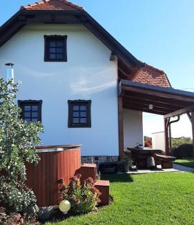 Lendava Villa | Vila Idila