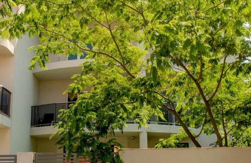 Eforie Nord Hotel | Vila Kalliopi