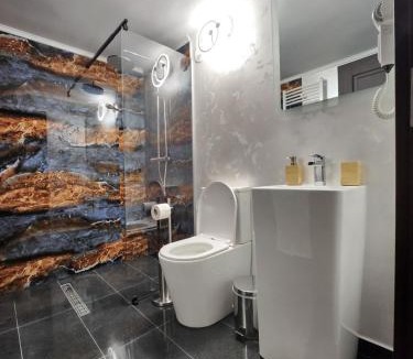 Valea Doftanei House | Vila Karina