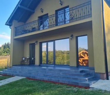 Vulcan House | Vila Lac