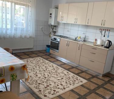 Vaslui Apartment | Vila Lory