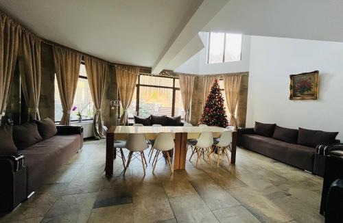 Busteni House | Vila Mama Jana