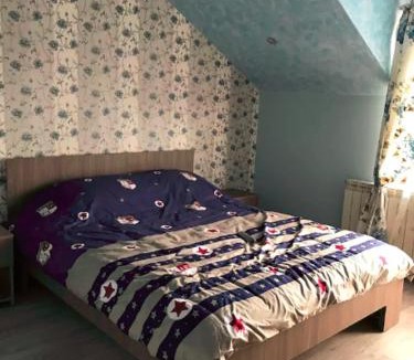 Petrila House | Vila Maria