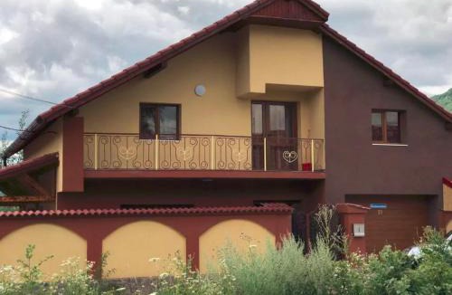 Petrila House | Vila Maria