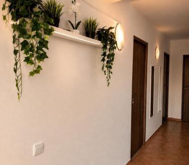 Vama Veche House | Vila Matt