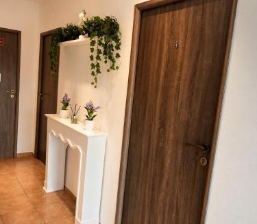 Vama Veche House | Vila Matt