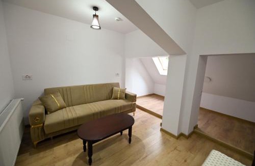 Sinaia Hotel | Vila Mimoza