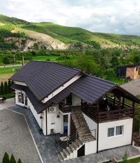 Sasciori House | Vila Miorita