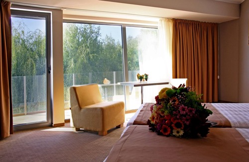 Braila Hotel | Vila Nemo
