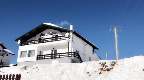 Paltinis House | Vila Paltinis