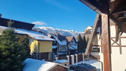 Sinaia Villa | Vila Panselutelor 6
