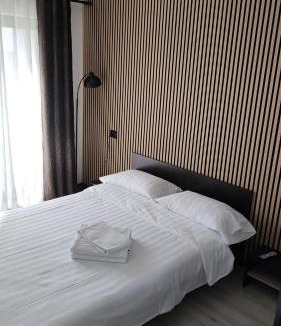 Borsa Villa | Vila Puiu Borsa MM