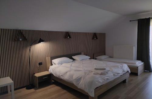 Borsa Villa | Vila Puiu Borsa MM