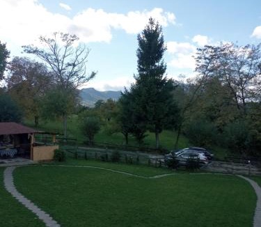 Bran Villa | Vila Rem